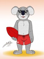 A lifeguard koala