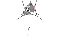 Tom Cat Between Toes