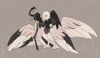 Raven albino adopt auction [Closed]