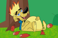 Putting the Belly in Porkbelly