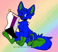 Snowki demisexual flag