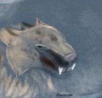 Sterra (sketch)