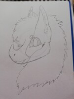 Adopt Payment W.I.P (1/2)