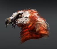 Bearded Vulture Portrait