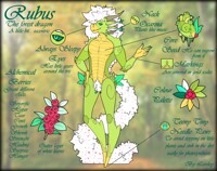 Rubus Reference Sheet (SFW)