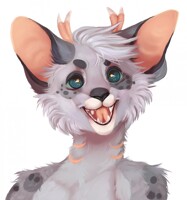 bday gift for Nimbooshi