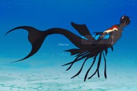 [CLOSED] Mermaid adopt #28 - Long-tailed widowbird