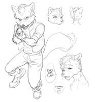 Fox McCloud Test