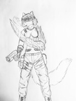 Ice blade
