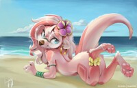 Sun Baked Ott
