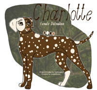 Commission: Charlotte the Dalmatian