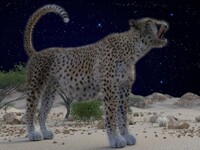 Cheetah LAHM test render 2