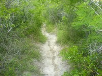 trail