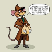 The Male Pregnancy Mystery Belly Rubbing Alt.