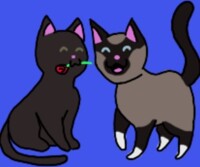 Nayo's Christmas Gift