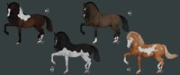 Horse adopt/ (4/4) OPEN