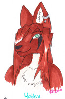 Yoshii headshot