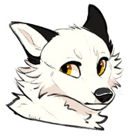 Cute wolf