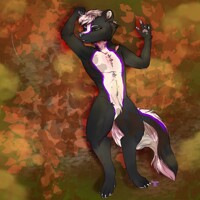 🍁 Autumn Leaves 🍁