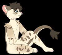 Chillin|Raffle prize
