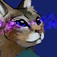 Cosmos kitty