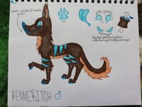 Ken's New Ref