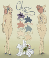 Clara - Ref Sheet