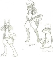 Luqui