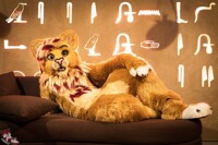 Lion on the Couch!