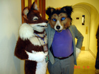 My Favorite Collie
