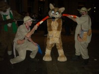 fc 2010