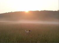 PICÚR & the sunrise