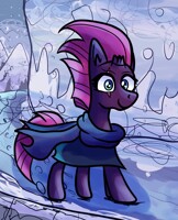 Tempest Snowy Adventure