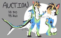 SharkDog Adopt AUCTION (closed)