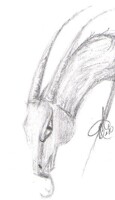DoodleDragon