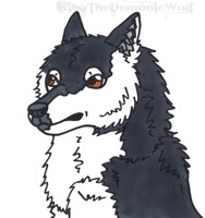 Bunch of Doggos - Malamute