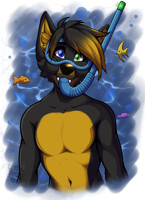 Ko-fi Reward: Snorkel