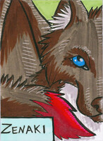 Zenaki badge