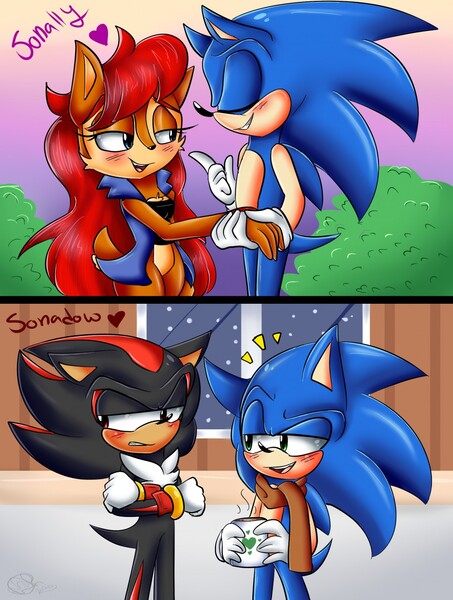 Sooooooo cute!!!!!^.^ don't ship sonadow but it really cute