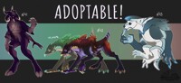 Adopts || CLOSED