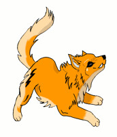 ANIMATION Little Wolf  V.2.0