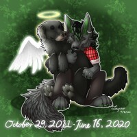 Memorial Commission