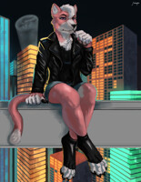 Kitty Katt