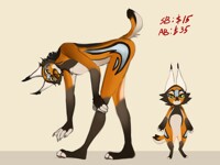 Caracal ADOPT