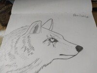 Wolf art part 3