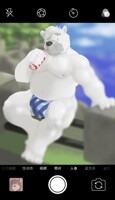 Bear V2