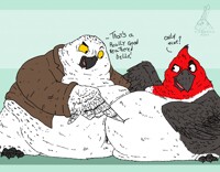 [COM] Feathered bellies