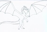 Standing Dragoness