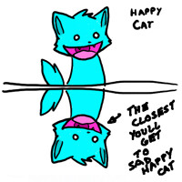 Happy Cat 10