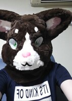 covering hair (Fursuit)